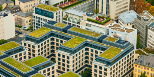 Green roofs 